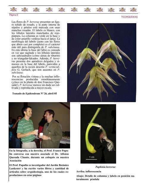 Boletín Mensual, Julio 2007 - Asociación Costarricense de ...