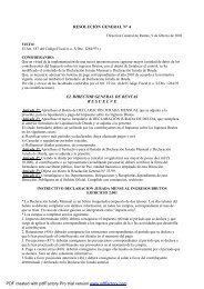 Resolución N° 04/01 - Rentas Mendoza