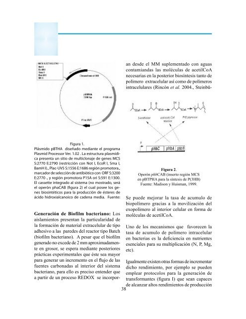 toda la revista - Universidad Manuela Beltran