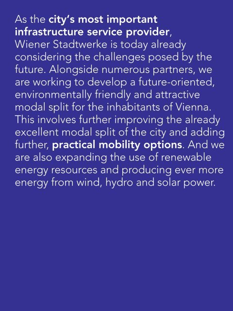 Wiener Stadtwerke Annual Report 2012