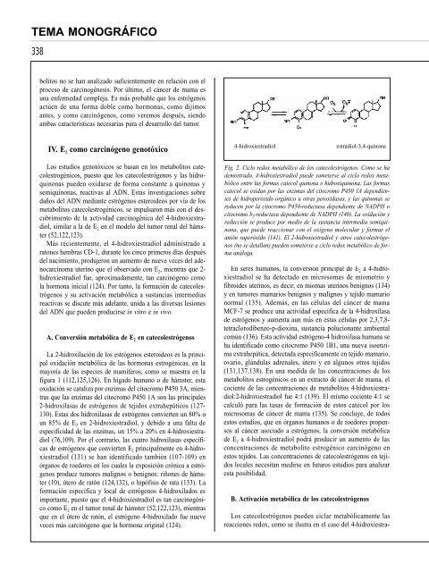 ¿El estradiol es un carcinógeno mutagénico genotóxico?