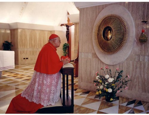 Cardenal Ignacio Velasco