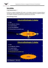 ECG NORMAL - Sanatorio de los Arcos