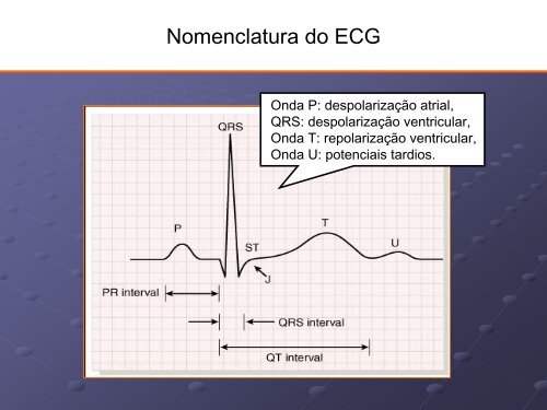 Noções Básicas De Eletrocardiograma - EMV-FMB - Unesp