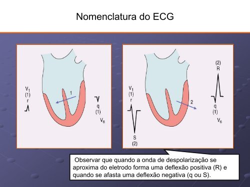 Noções Básicas De Eletrocardiograma - EMV-FMB - Unesp