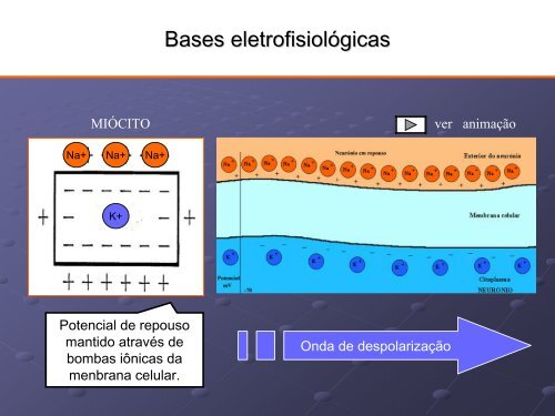 Noções Básicas De Eletrocardiograma - EMV-FMB - Unesp