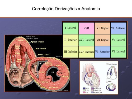 Noções Básicas De Eletrocardiograma - EMV-FMB - Unesp