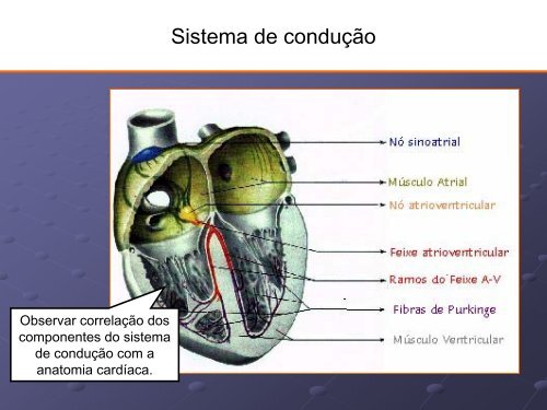 Noções Básicas De Eletrocardiograma - EMV-FMB - Unesp