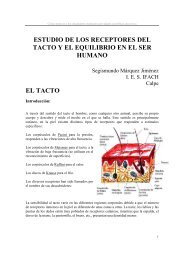 ESTUDIO DE LOS RECEPTORES DEL TACTO Y EL EQUILIBRIO