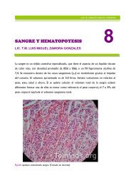 capítulo 8: sangre y hemopoyesis