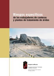 Riesgos específicos de los trabajadores de canteras - Comunidad ...