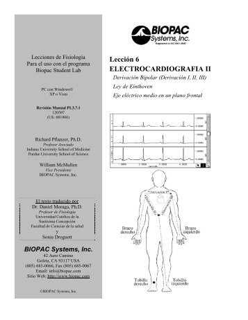 Electroencephalography II? - Biopac