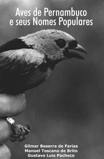 Observadores de Aves de Pernambuco