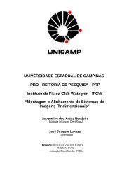 Jacqueline - Instituto de Física Gleb Wataghin - Unicamp
