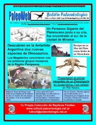 Descubren en la Antartida Argentina dos nuevas especies de ...