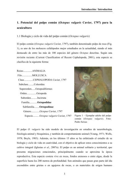 Composición bioquímica y crecimiento de paralarvas de pulpo ...