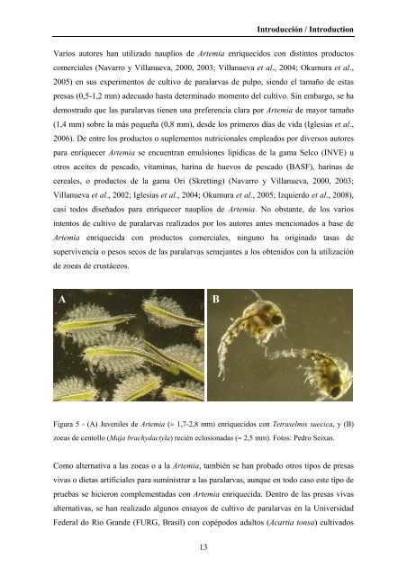 Composición bioquímica y crecimiento de paralarvas de pulpo ...