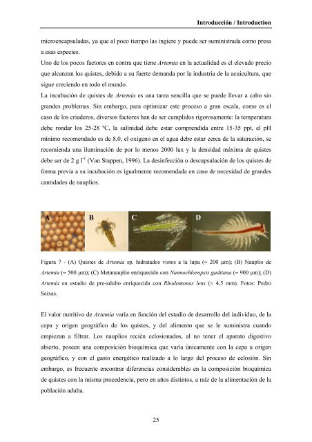 Composición bioquímica y crecimiento de paralarvas de pulpo ...