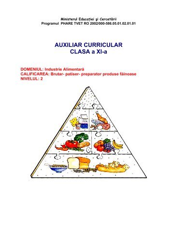 AUXILIAR CURRICULAR CLASA a XI-a - cndipt