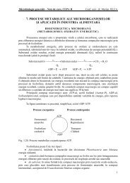 7. Bioenergetica+fermentatii - Note de curs.pdf - UBM ...