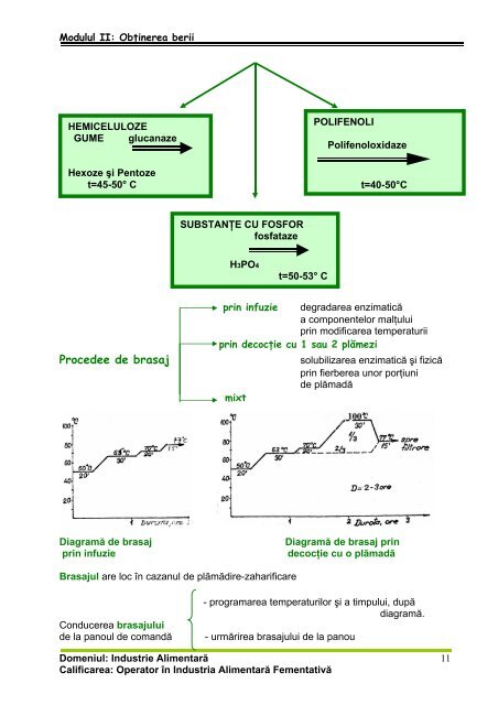 INDUSTRIE ALIMENTARA XI OBTINEREA BERII.pdf - cndipt