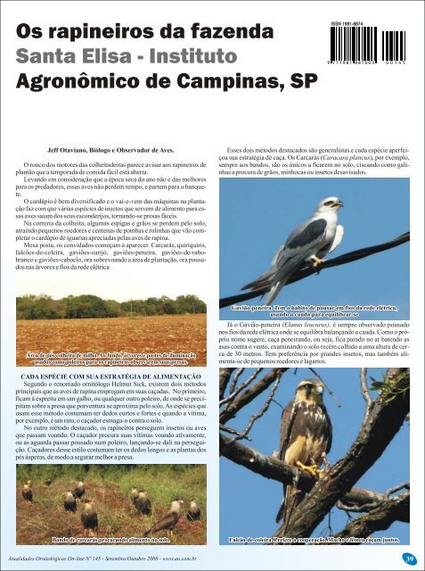 Os rapineiros da fazenda Santa Elisa - Atualidades Ornitológicas