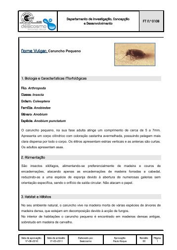 Caruncho Pequeno, Anobium punctatum - Grupo Silva Roque