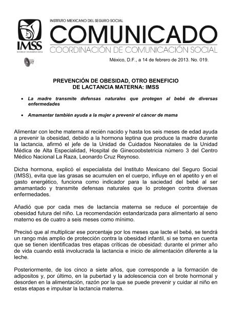 Alimentacion de la madre durante la lactancia materna pdf