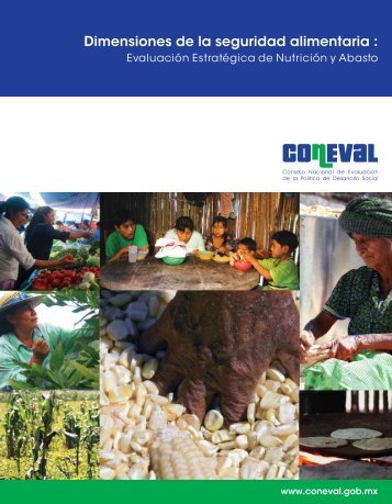 Dimensiones de la seguridad alimentaria : - Coneval