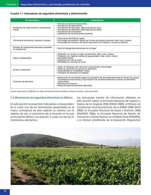 Dimensiones de la seguridad alimentaria : - Coneval