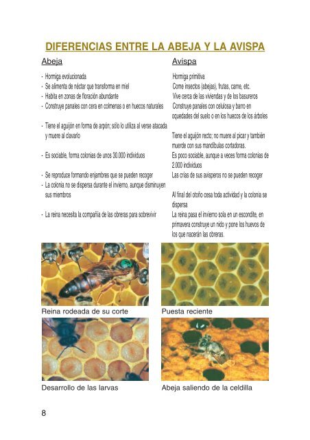 lo que vd. debe saber sobre: las abejas y la miel - Caja España