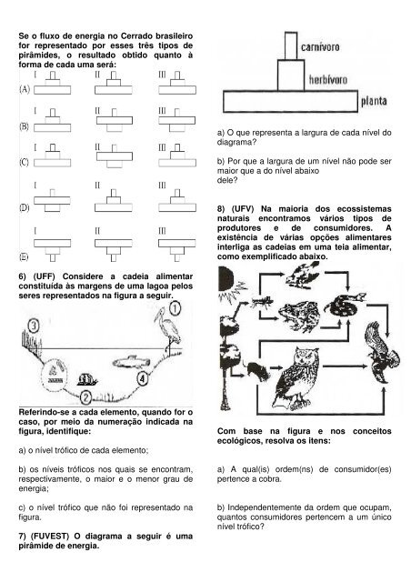 CADEIA ALIMENTAR - Ser Digital