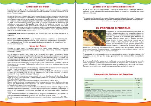 introducción la apicultura la abeja - Municipalidad Ecológica ...