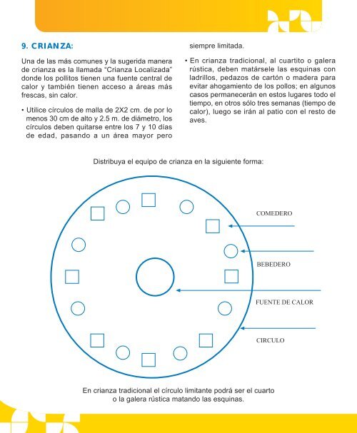 Guía para el manejo de pollos de engorde