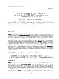 Cultivo experimental del cladocero Moina sp alimentado con ...