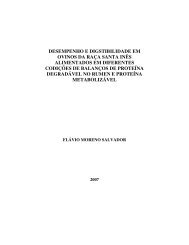 desempenho e digstibilidade em ovinos da raça santa inês ... - Ufla