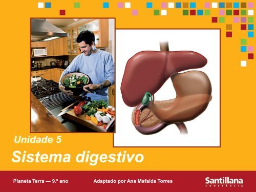 Sistema digestivo.pdf (3,7 MB) - Webnode