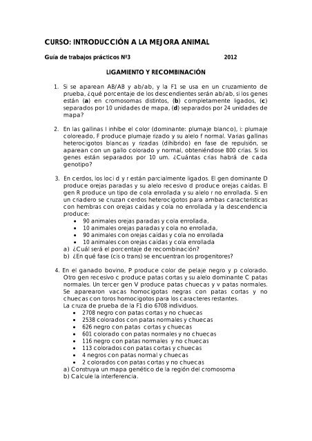 PRACTICO 3.pdf