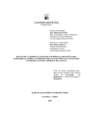 B - Tesis Electrónicas UACh - Universidad Austral de Chile