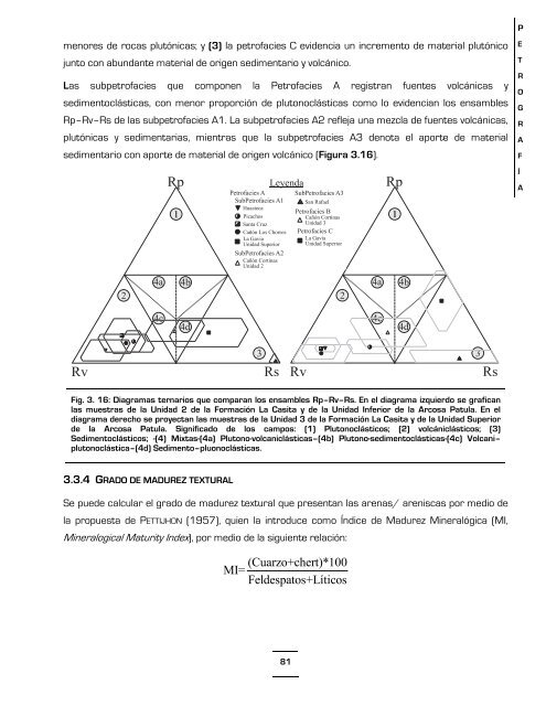 Download (17Mb) - Universidad Autónoma de Nuevo León