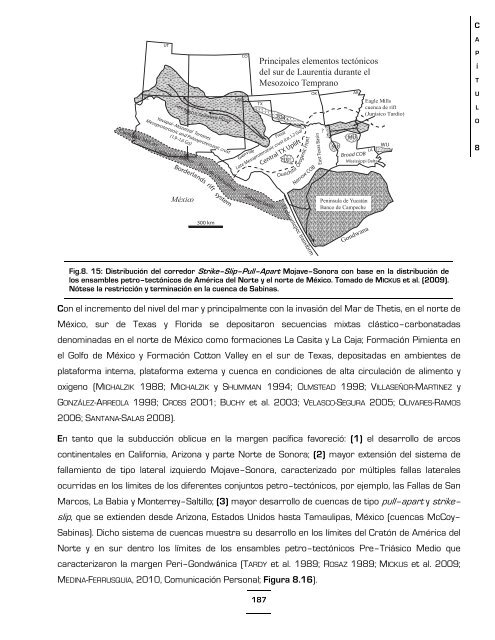 Download (17Mb) - Universidad Autónoma de Nuevo León