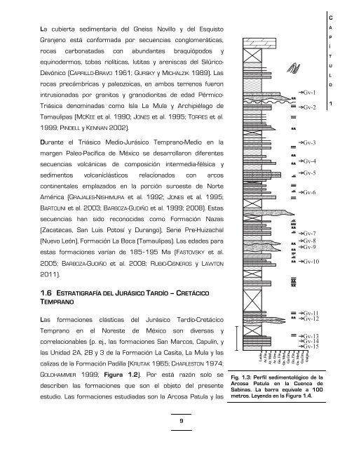 Download (17Mb) - Universidad Autónoma de Nuevo León