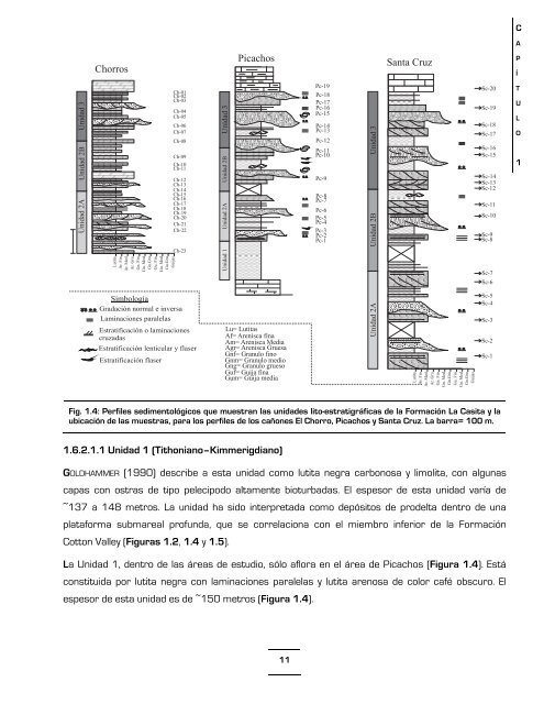 Download (17Mb) - Universidad Autónoma de Nuevo León