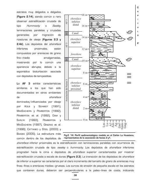 Download (17Mb) - Universidad Autónoma de Nuevo León