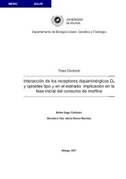 Fuente - Servicio Central de Informática - Universidad de Málaga