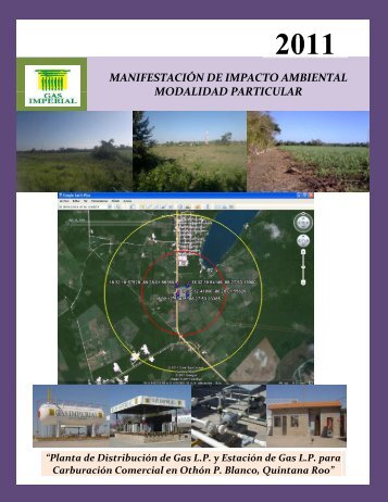manifestación de impacto ambiental modalidad ... - sinat - Semarnat