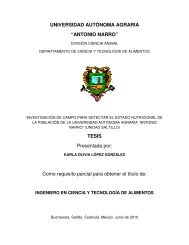 Documento en PDF