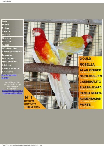 Aves Magacin