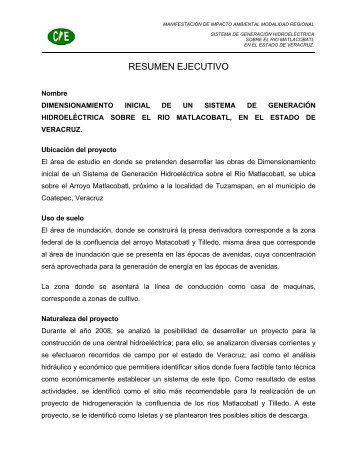RESUMEN EJECUTIVO - sinat