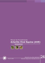 Arteritis Viral Equina (AVE)
